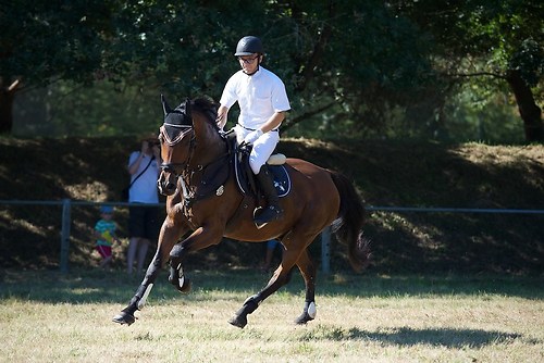 Frie_20160827_MHE2112