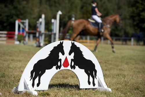 Frie_20160827_MHE2313