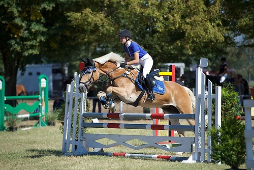 Frie_20160827_MHE2418