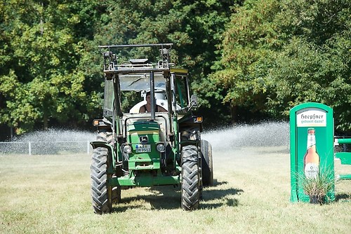 Frie_20160827_MHE2547