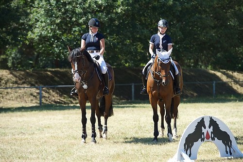 Frie_20160827_MHE2658