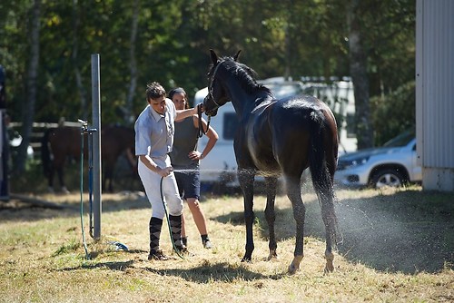 Frie_20160827_MHE2731