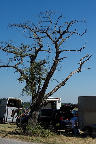 Frie_20160827_MHE2735