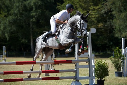 Frie_20160827_MHE2741