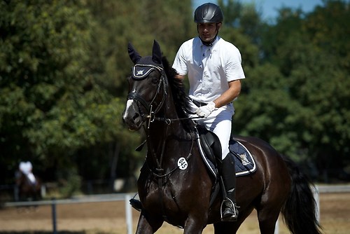 Frie_20160827_MHE2788