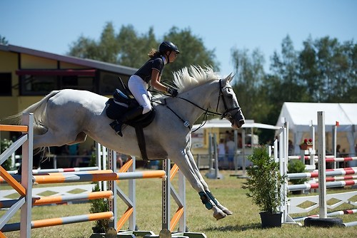 Frie_20160827_MHE2880