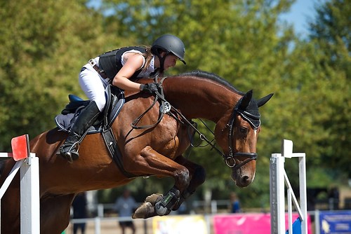 Frie_20160827_MHE2935