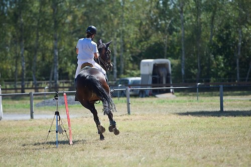 Frie_20160827_MHE2951