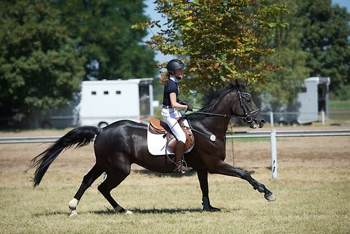 Frie_20160827_MHE2994