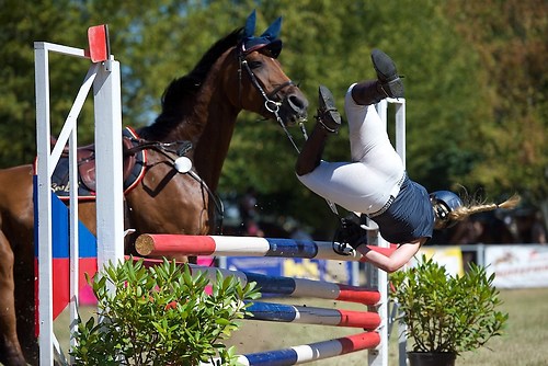 Frie_20160827_MHE3039