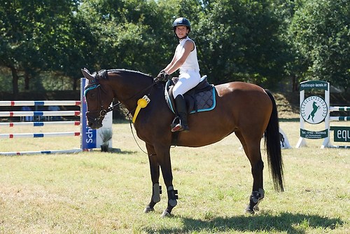 Frie_20160827_MHE3082