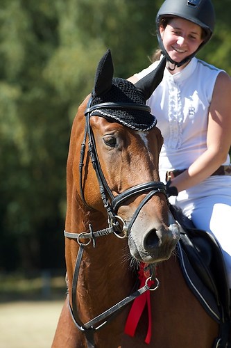 Frie_20160827_MHE3090