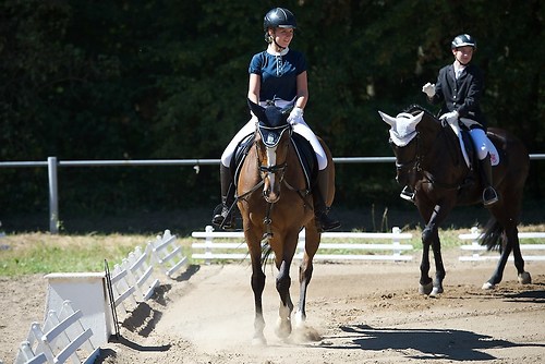 Frie_20160827_MHE3183