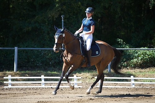 Frie_20160827_MHE3217