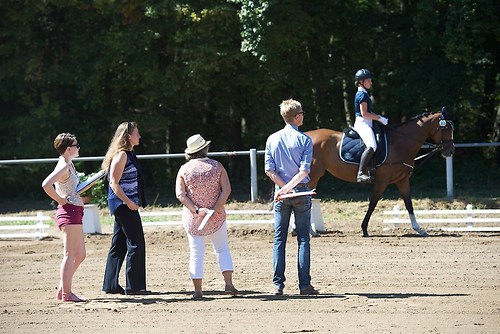 Frie_20160827_MHE3236