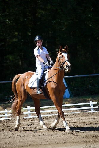 Frie_20160827_MHE3279