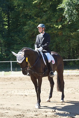 Frie_20160827_MHE3305