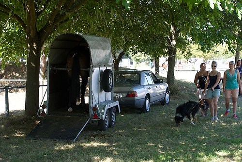 Frie_20160827_MHE3456