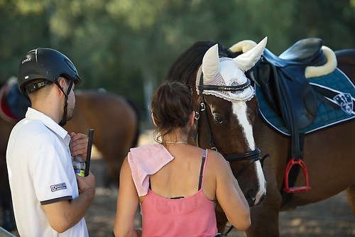 Frie_20160827_MHE3522