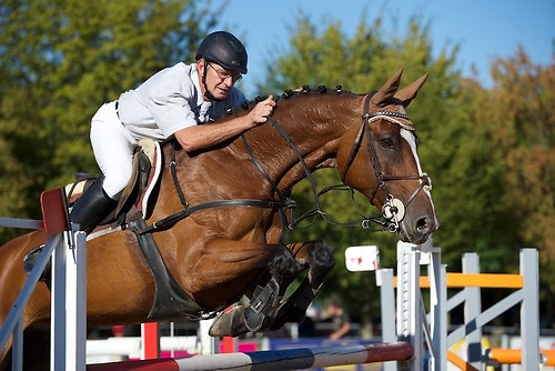 Frie_20160827_MHE3696