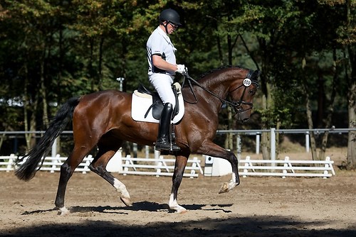 Frie_20160827DSC_1705