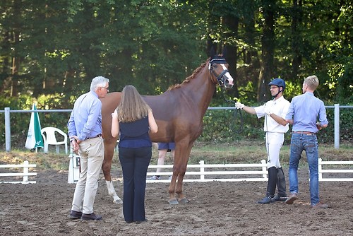 Frie_20160827DSC_1858