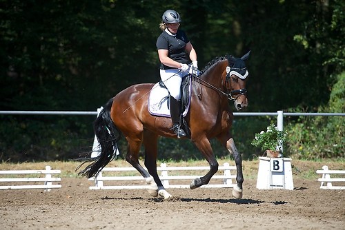 Frie_20160828_MHE5825