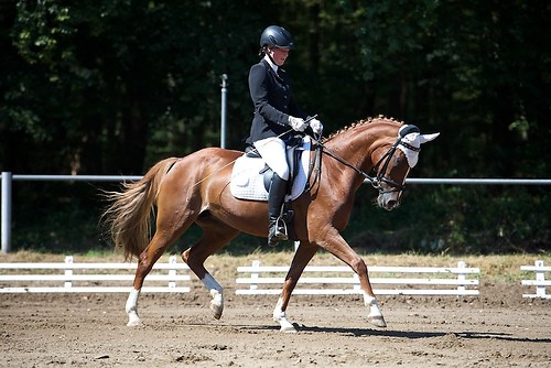 Frie_20160828_MHE6117