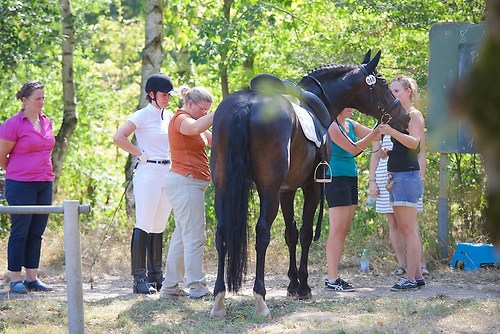 Frie_20160828_MHE6186