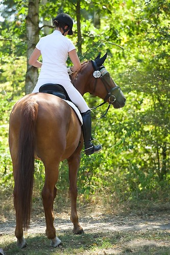 Frie_20160828_MHE6234