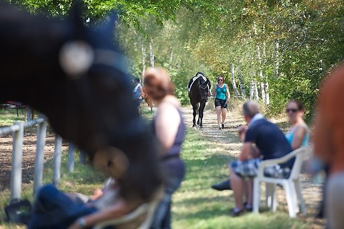 Frie_20160828_MHE6357