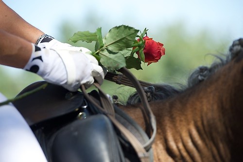 Frie_20160828_MHE6678