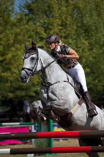 Frie_20160828_MHE6712