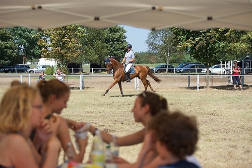 Frie_20160828_MHE6730