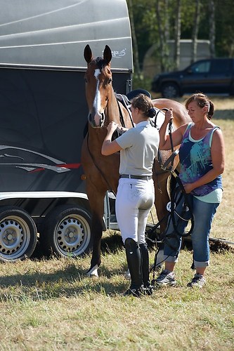 Frie_20160828_MHE6805