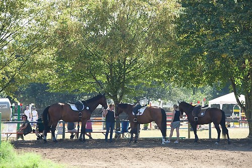 Frie_20160828_MHE6806