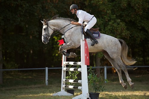 Frie_20160828_MHE7071