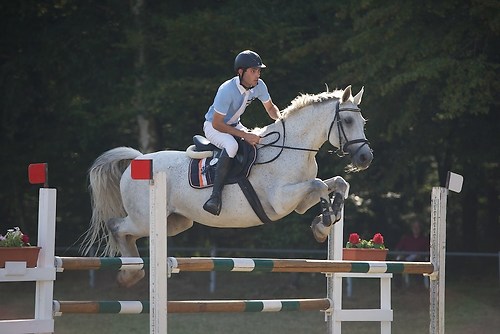 Frie_20160828_MHE7262