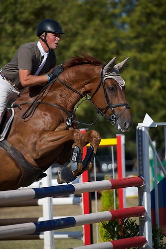 Frie_20160828_MHE7278