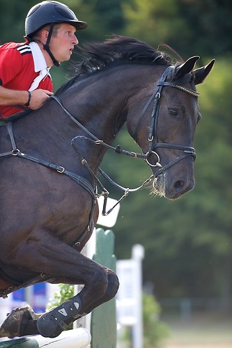 Frie_20160828_MHE7556