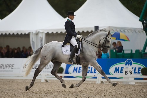 Xenofonte D'Atela (CHI_MRD_20160917_MHE1769)