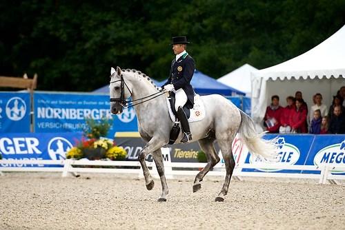 Xenofonte D'Atela (CHI_MRD_20160917_MHE1783)