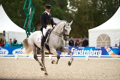 Xenofonte D'Atela (CHI_MRD_20160917_MHE1797)