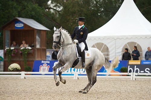 Xenofonte D'Atela (CHI_MRD_20160917_MHE1812)