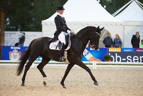 Fabienne (CHI_NSW_20160917_MHE1922)