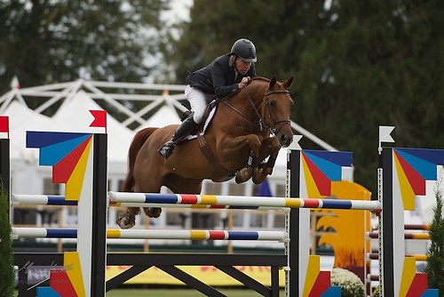 Charmed (CHI_20160916_MHE0698)