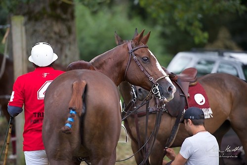 CHI_20160916_MHE1030