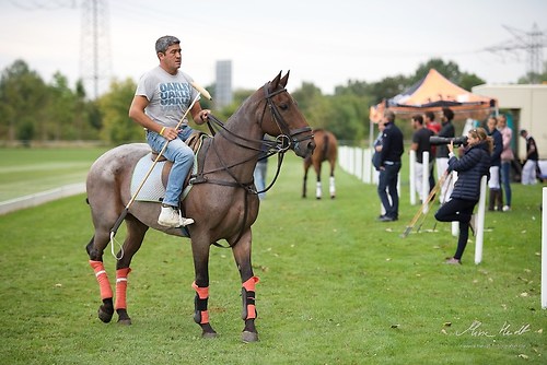 CHI_20160916_MHE1137