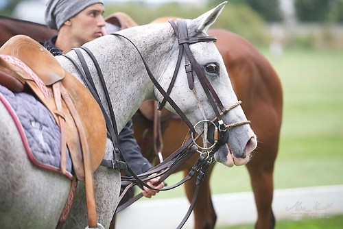 CHI_20160916_MHE1204