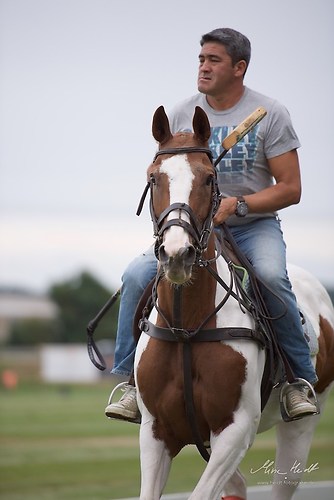 CHI_20160916_MHE1232